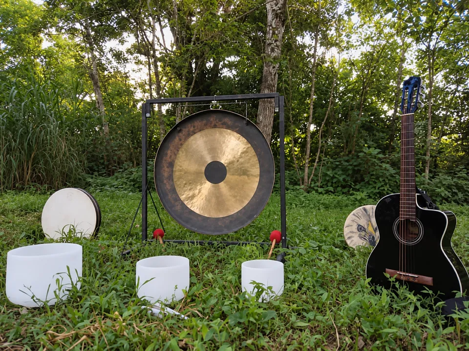 Su gong de bronce en el jardín, con cuencos de cuarzo, dos tambores y una guitarra sobre el pasto